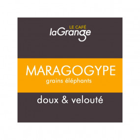 Maragogype