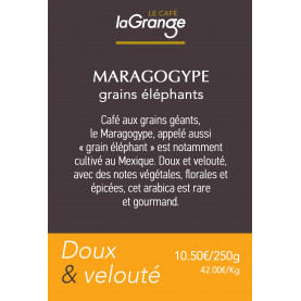 Etiquette silo à café - Maragogype