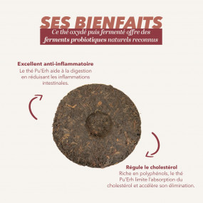 Galette Pu'Erh - Thé Millésimé Bio - 100gr - 4 galettes