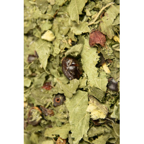 L'Antidote Bio