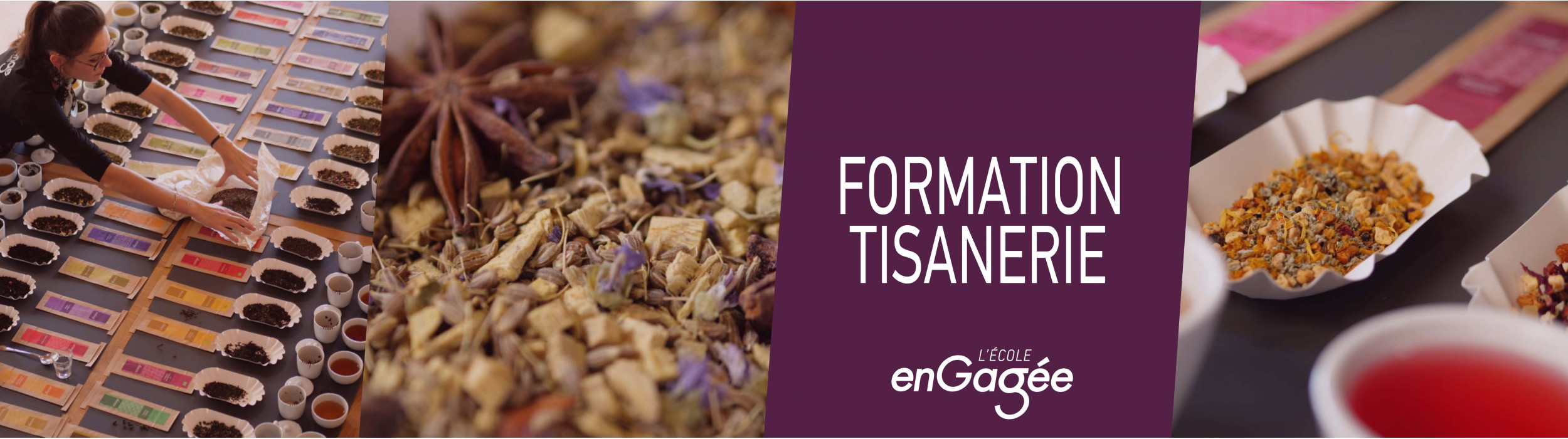 Formation infusion thé