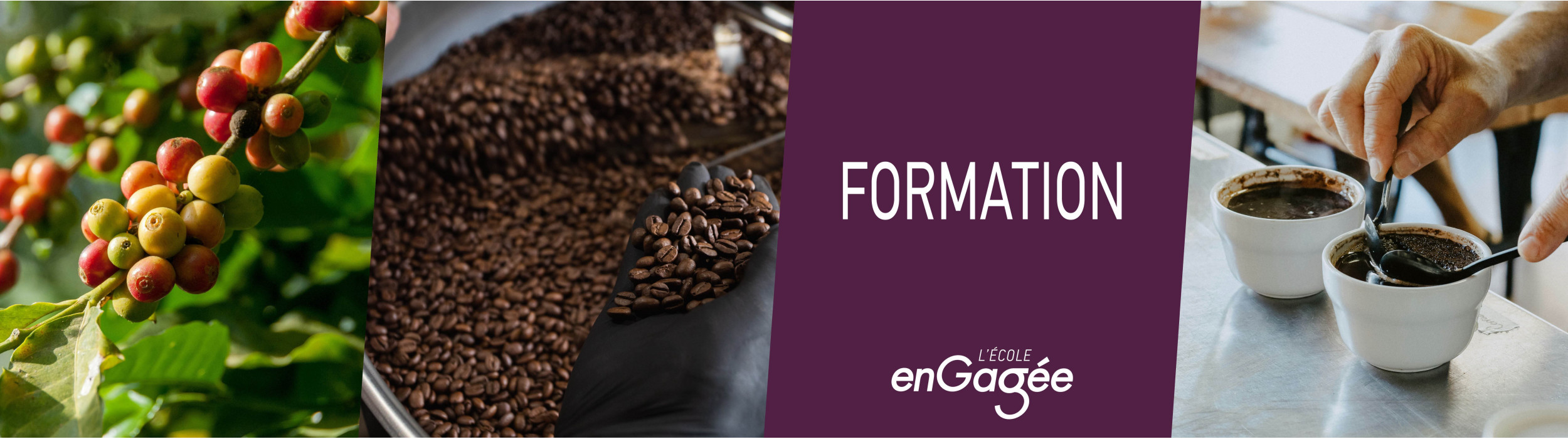 Formation café