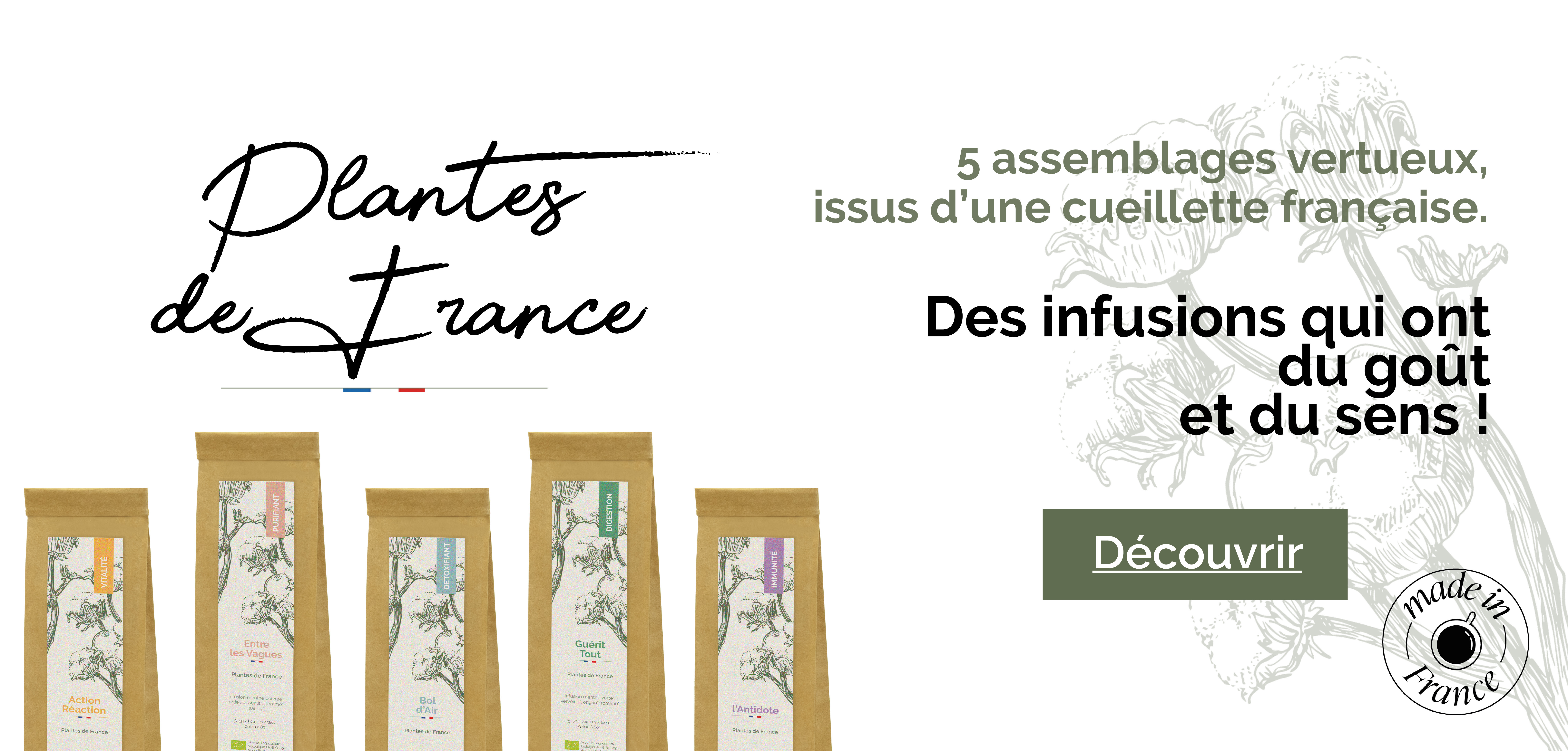 plante-de-france