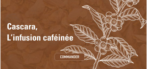 Slide thumbnail